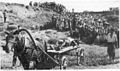 Фашистские зверства, обнаруженные в Петрушинской Балке, 1 сентября 1943 г. Фашистские зверства, обнаруженные в Петрушинской Балке, 1 сентября 1943 г.